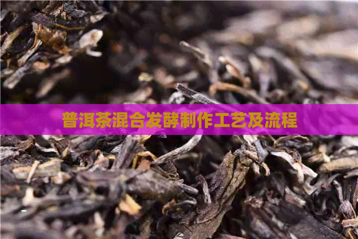 普洱茶混合发酵制作工艺及流程