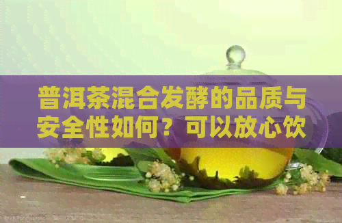 普洱茶混合发酵的品质与安全性如何？可以放心饮用吗？