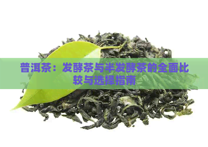 普洱茶：发酵茶与半发酵茶的全面比较与选择指南