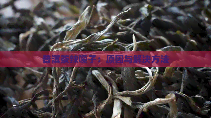 普洱茶辣嗓子：原因与解决方法