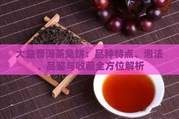 大益普洱茶兔饼：品种特点、泡法、品鉴与收藏全方位解析