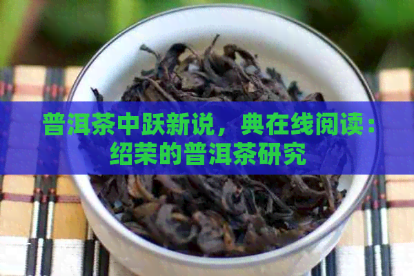 普洱茶中跃新说，典在线阅读：绍荣的普洱茶研究