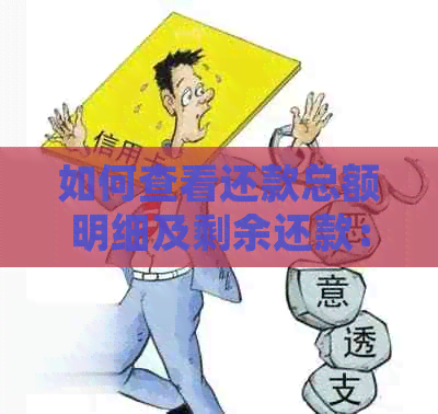 如何查看还款总额明细及剩余还款：完整操作指南