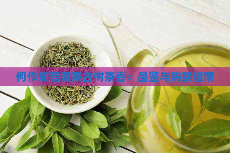 何作如普洱茶古树茶香：品鉴与购买指南