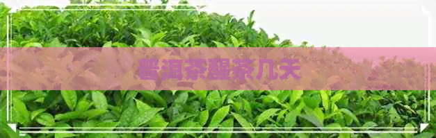 普洱茶醒茶几天