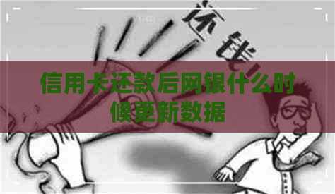 信用卡还款后网银什么时候更新数据