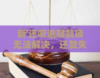 新'还呗逾期款项无法解决，还款失败怎么办？'