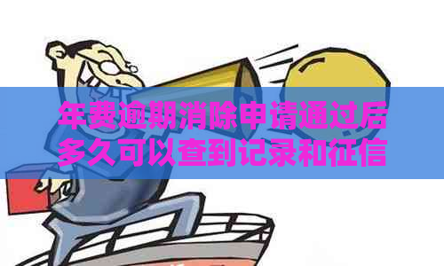 年费逾期消除申请通过后多久可以查到记录和？