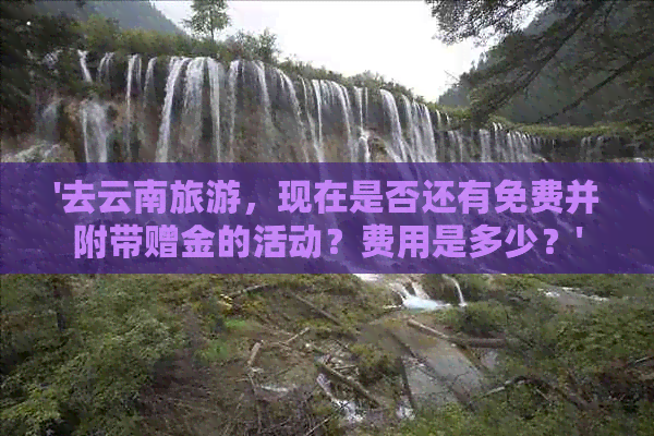 '去云南旅游，现在是否还有免费并附带赠金的活动？费用是多少？'