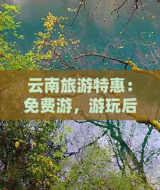 云南旅游特惠：免费游，游玩后获赠现金回馈！