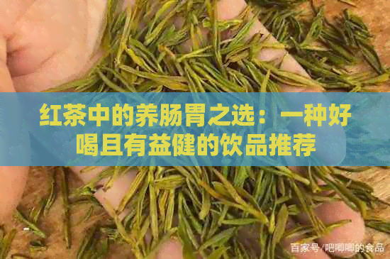 红茶中的养肠胃之选：一种好喝且有益健的饮品推荐