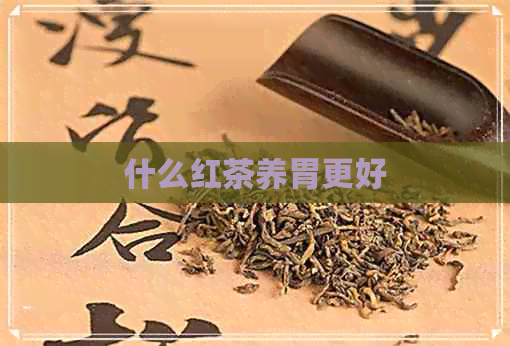 什么红茶养胃更好