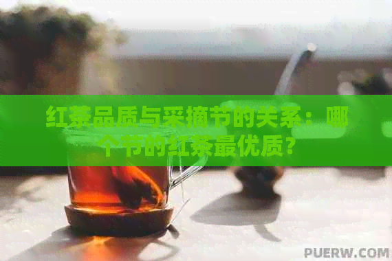 红茶品质与采摘节的关系：哪个节的红茶更优质？