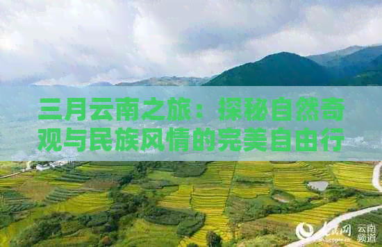 三月云南之旅：探秘自然奇观与民族风情的完美自由行攻略