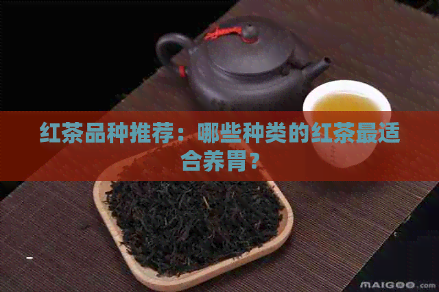 红茶品种推荐：哪些种类的红茶最适合养胃？