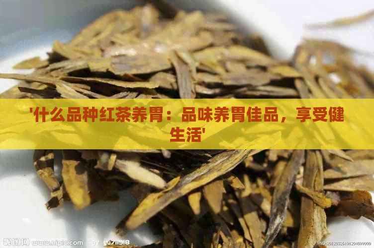 '什么品种红茶养胃：品味养胃佳品，享受健生活'