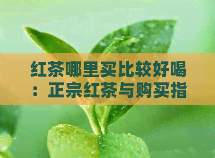 红茶哪里买比较好喝：正宗红茶与购买指南