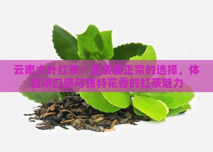 云南大叶红茶：品质最正宗的选择，体验浓口感与独特花香的红茶魅力