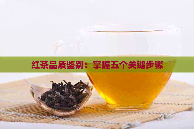 红茶品质鉴别：掌握五个关键步骤