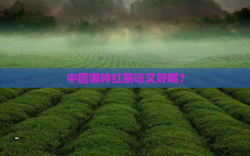 中国哪种红茶听又好喝？