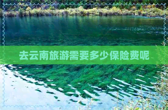 去云南旅游需要多少保险费呢