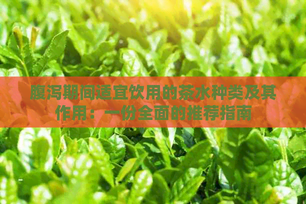 腹泻期间适宜饮用的茶水种类及其作用：一份全面的推荐指南