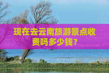 现在去云南旅游景点收费吗多少钱？