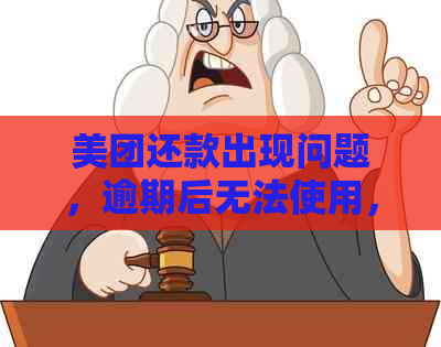 美团还款出现问题，逾期后无法使用，怎么解决？