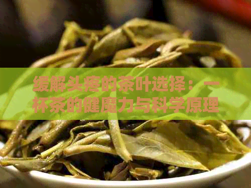 缓解头疼的茶叶选择：一杯茶的健魔力与科学原理解析