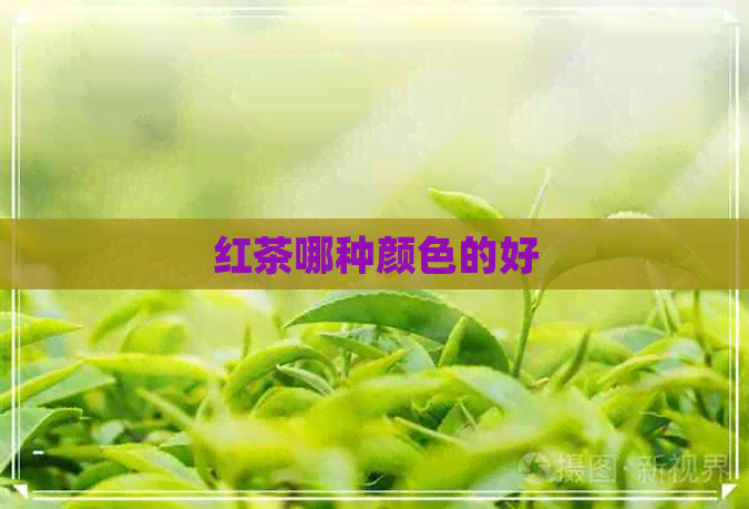 红茶哪种颜色的好