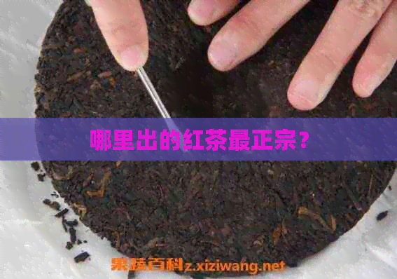 哪里出的红茶最正宗？