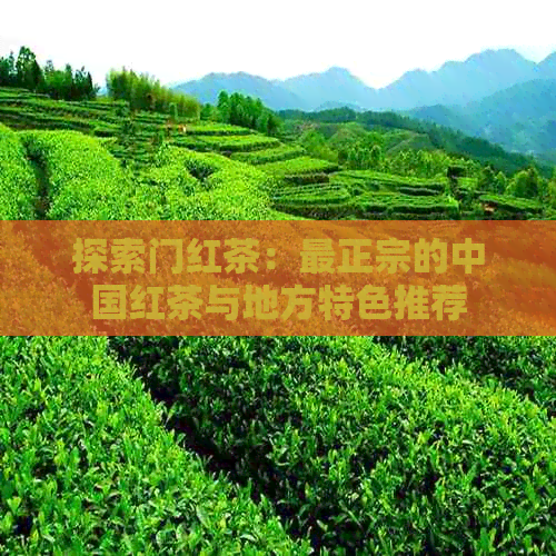 探索门红茶：最正宗的中国红茶与地方特色推荐