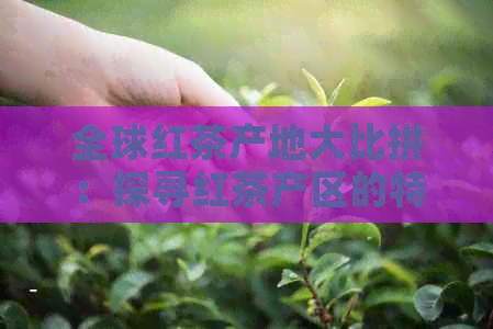 全球红茶产地大比拼：探寻红茶产区的特色与品质