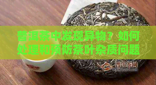 普洱茶中发现异物？如何处理和预防茶叶杂质问题