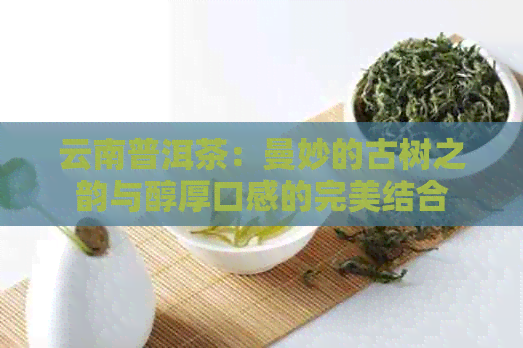 云南普洱茶：曼妙的古树之韵与醇厚口感的完美结合