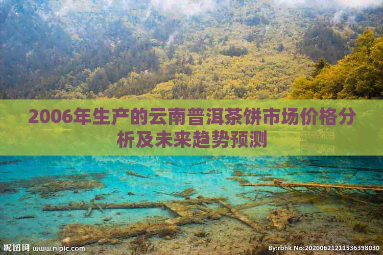 2006年生产的云南普洱茶饼市场价格分析及未来趋势预测