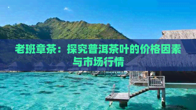 老班章茶：探究普洱茶叶的价格因素与市场行情