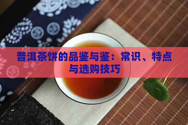 普洱茶饼的品鉴与鉴：常识、特点与选购技巧