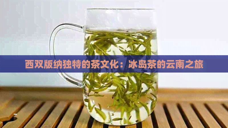 西双版纳独特的茶文化：冰岛茶的云南之旅