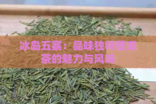 冰岛五寨：品味独特普洱茶的魅力与风味