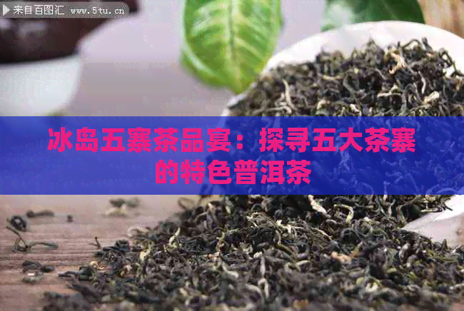 冰岛五寨茶品宴：探寻五大茶寨的特色普洱茶