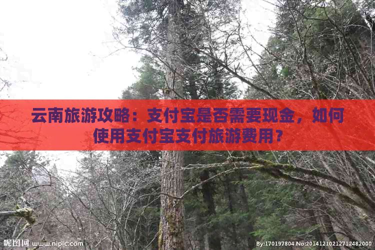 云南旅游攻略：支付宝是否需要现金，如何使用支付宝支付旅游费用？