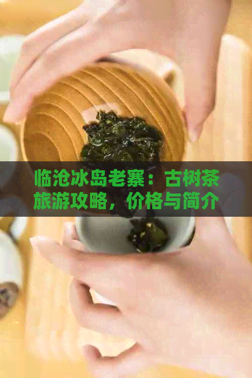 临沧冰岛老寨：古树茶旅游攻略，价格与简介