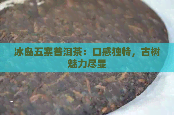 冰岛五寨普洱茶：口感独特，古树魅力尽显