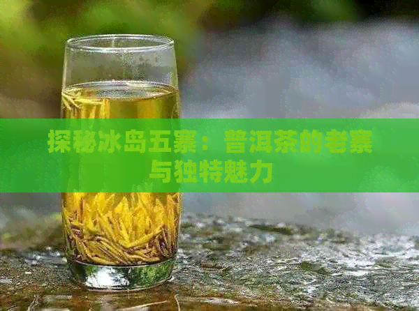 探秘冰岛五寨：普洱茶的老寨与独特魅力