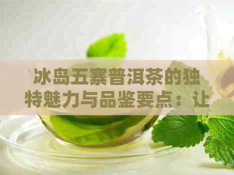 冰岛五寨普洱茶的独特魅力与品鉴要点：让你全面了解这种珍贵茶叶的特点