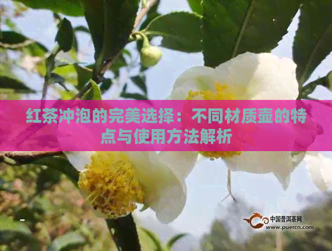 红茶冲泡的完美选择：不同材质壶的特点与使用方法解析