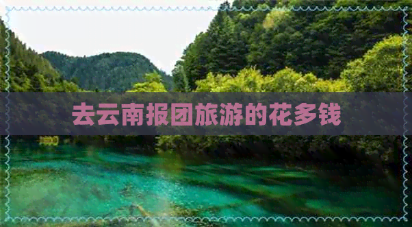 去云南报团旅游的花多钱