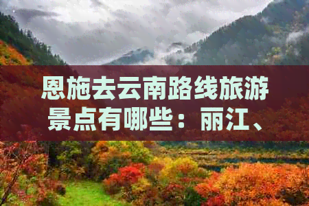 恩施去云南路线旅游景点有哪些：丽江、大理、石林、西双版纳等