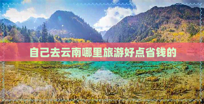 自己去云南哪里旅游好点省钱的